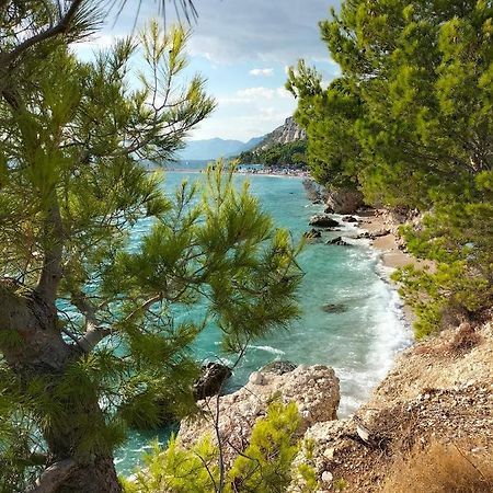 Studie-Apartment In Makarska, Kroatien Dış mekan fotoğraf