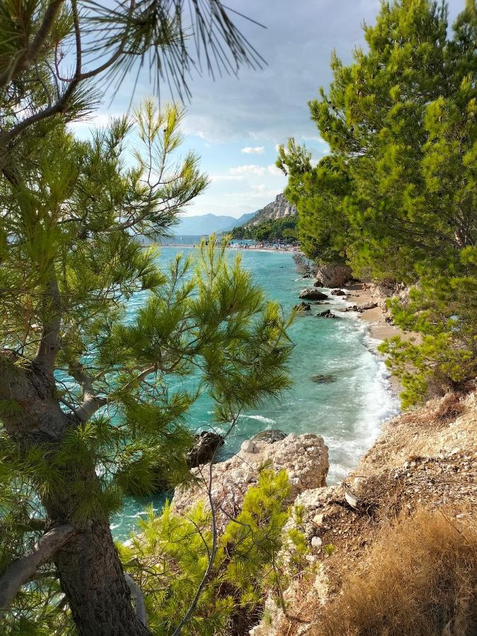 Studie-Apartment In Makarska, Kroatien Dış mekan fotoğraf