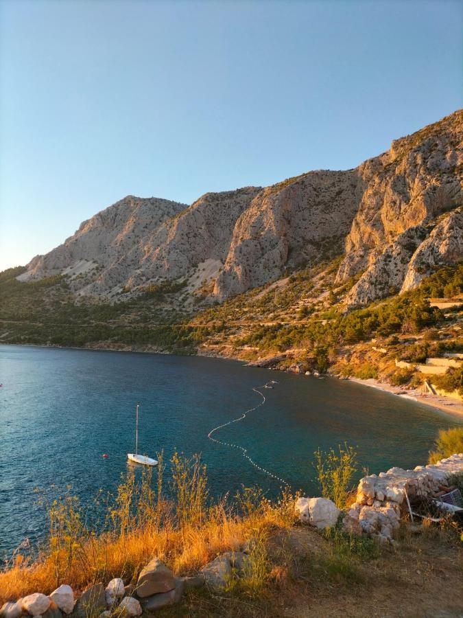 Studie-Apartment In Makarska, Kroatien Dış mekan fotoğraf