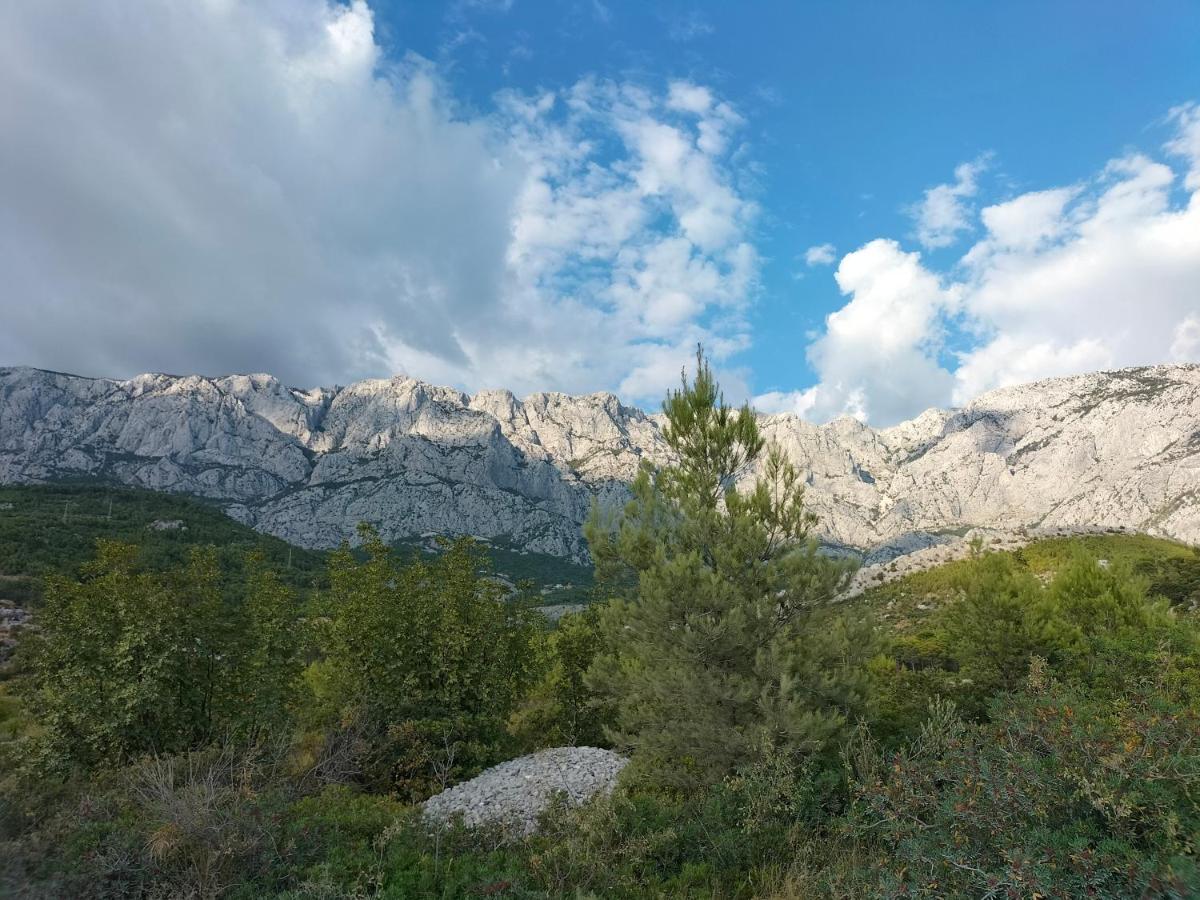 Studie-Apartment In Makarska, Kroatien Dış mekan fotoğraf